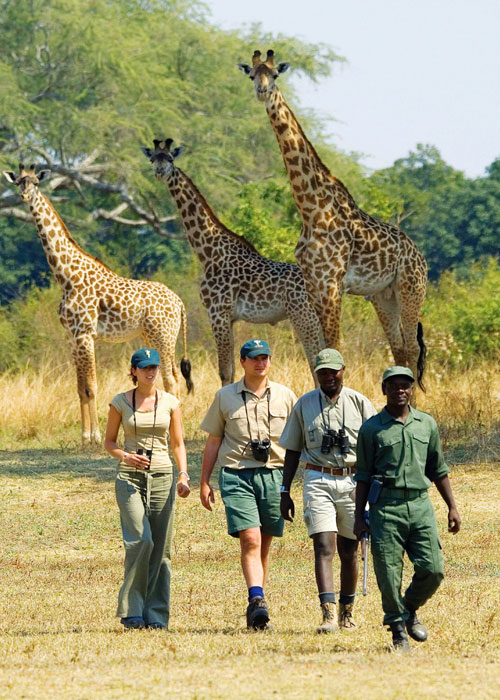 DRC-Safari-Activities