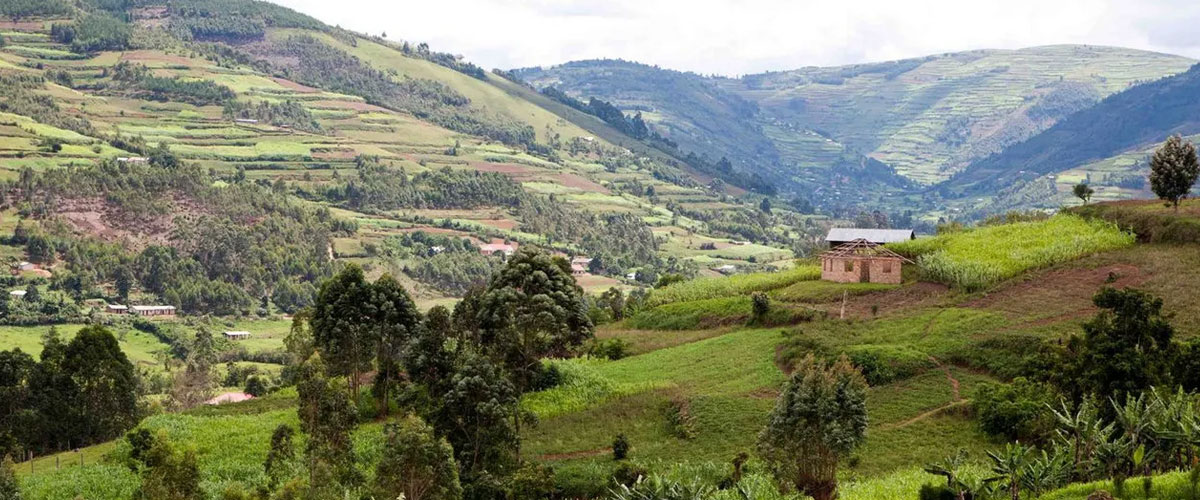 Rwanda-Plan-Your-Trip