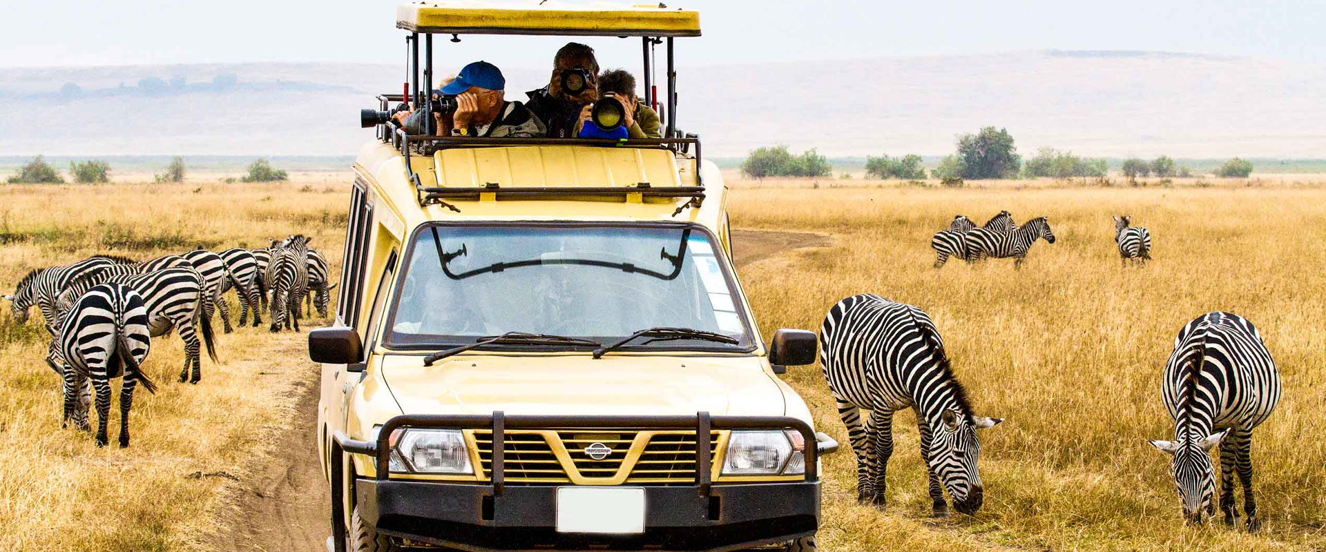 Tanzania Safari Faqs