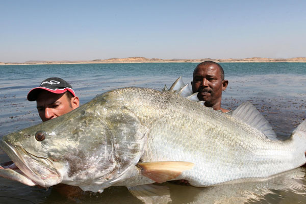 Nile Fishing Safari