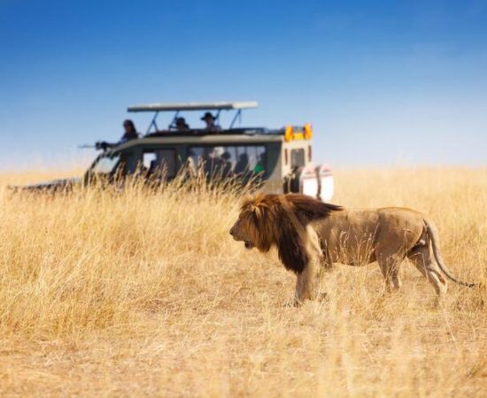 Tanzania-Safari-Activities-What-Do-You-Actually-Do-on-a-Tanzania-Safari