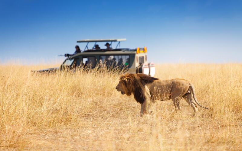 Tanzania-Safari-Activities-What-Do-You-Actually-Do-on-a-Tanzania-Safari