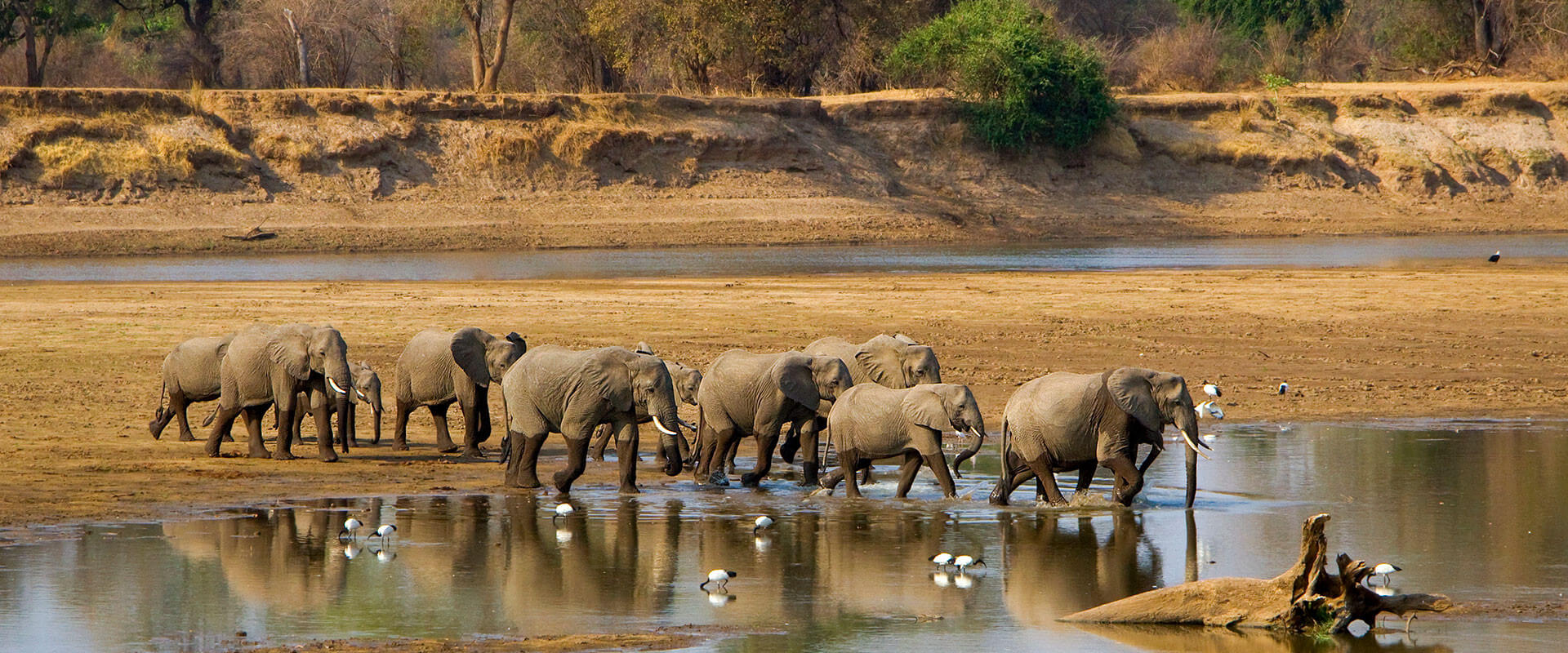 Zimbabwe, Botswana and South Africa Tour