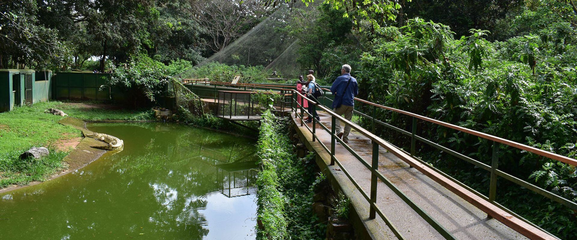 Entebbe Eco Tour – Full Day