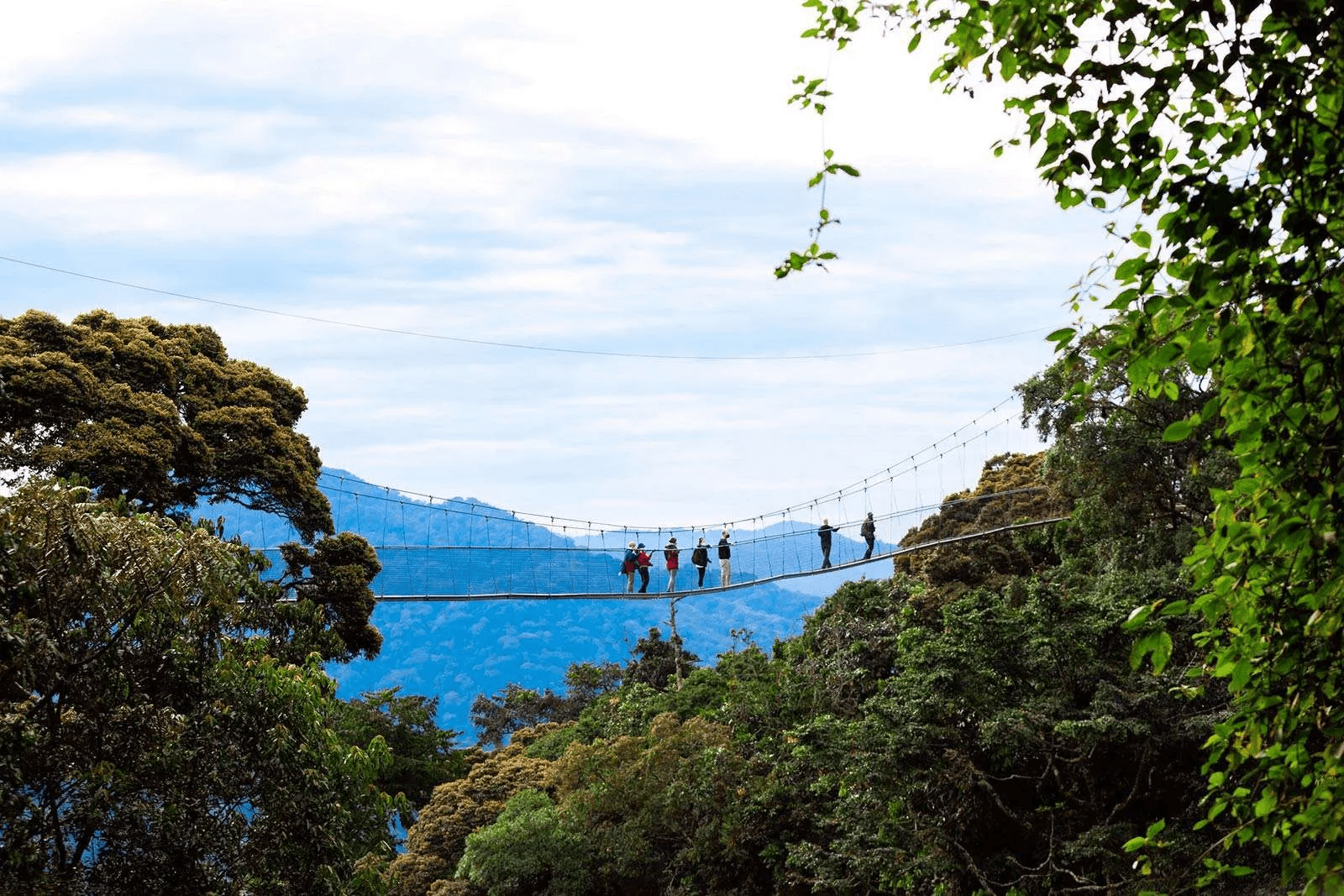 Rwanda Volcanoes and Wilderness Safari