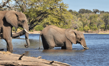 Botswana and Victoria Falls Adventure Tour