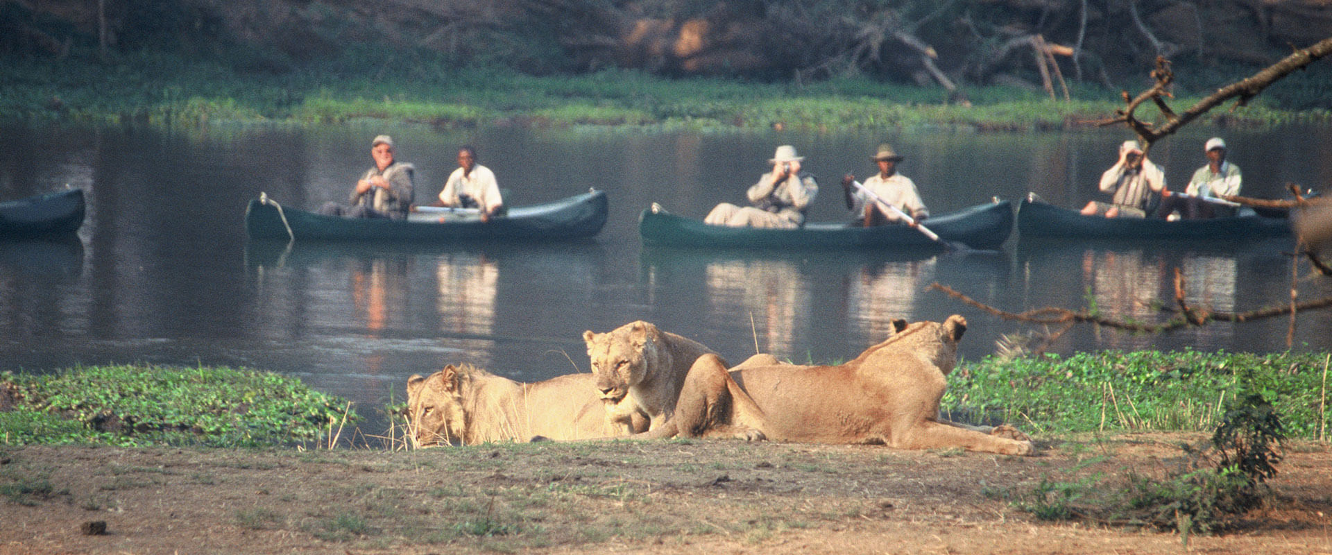 Livingstone Adventure Experience