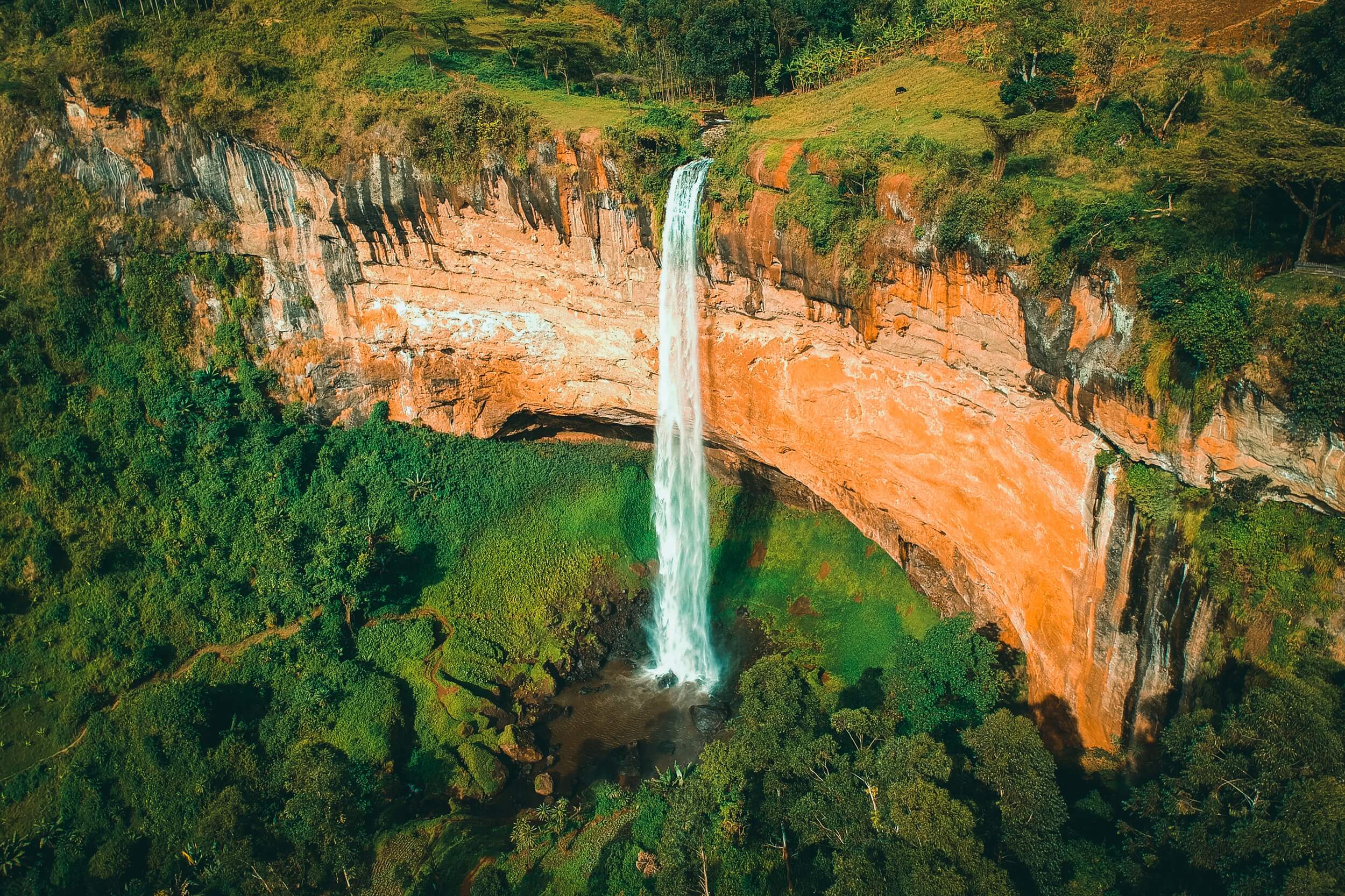 Uganda Wilderness Safari and Gorilla Trek