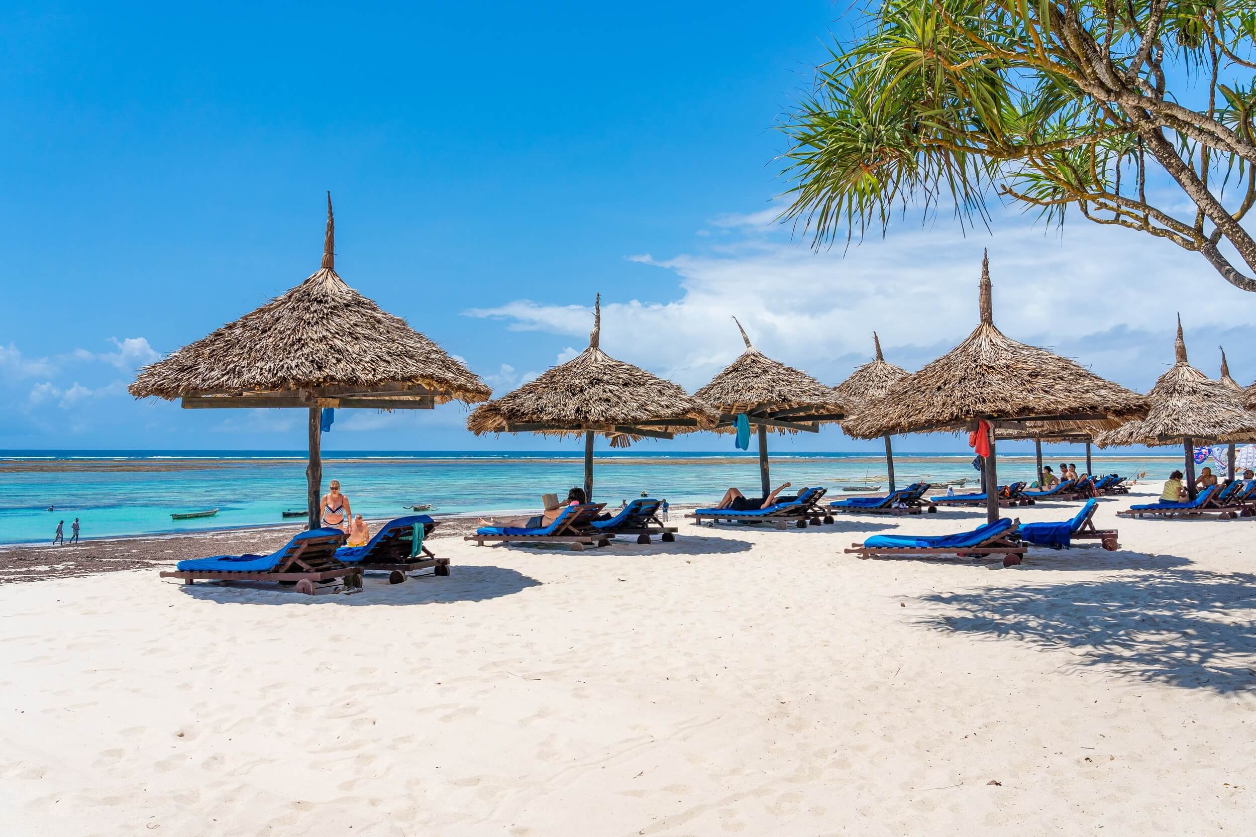 Kenya Safari and Beach Vacation