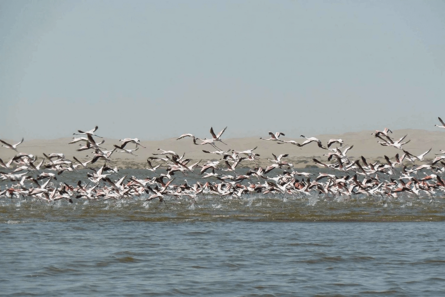 Namibia Experience