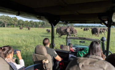 Kenya Epic Adventure Experience