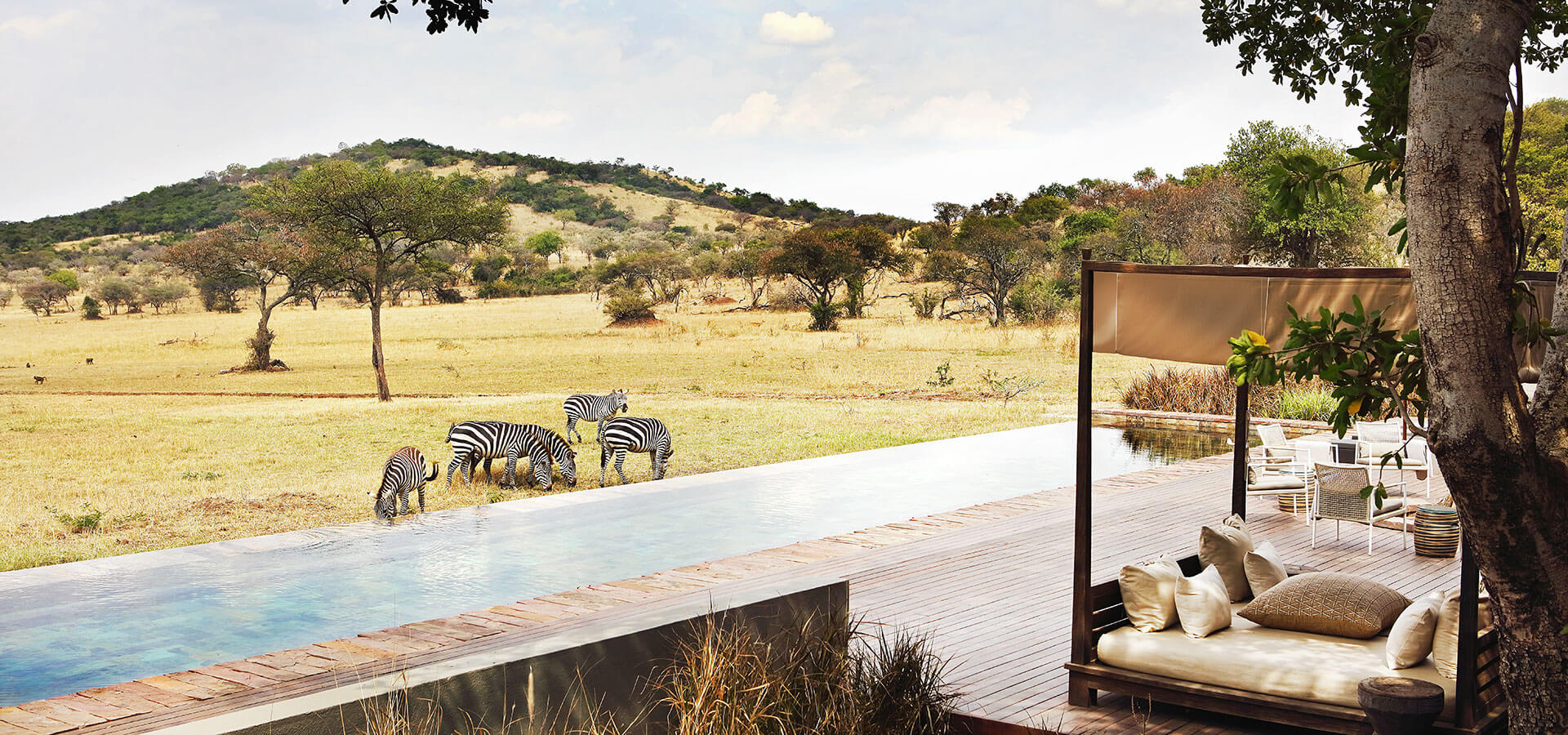 Premier Safari Highlights of Tanzania