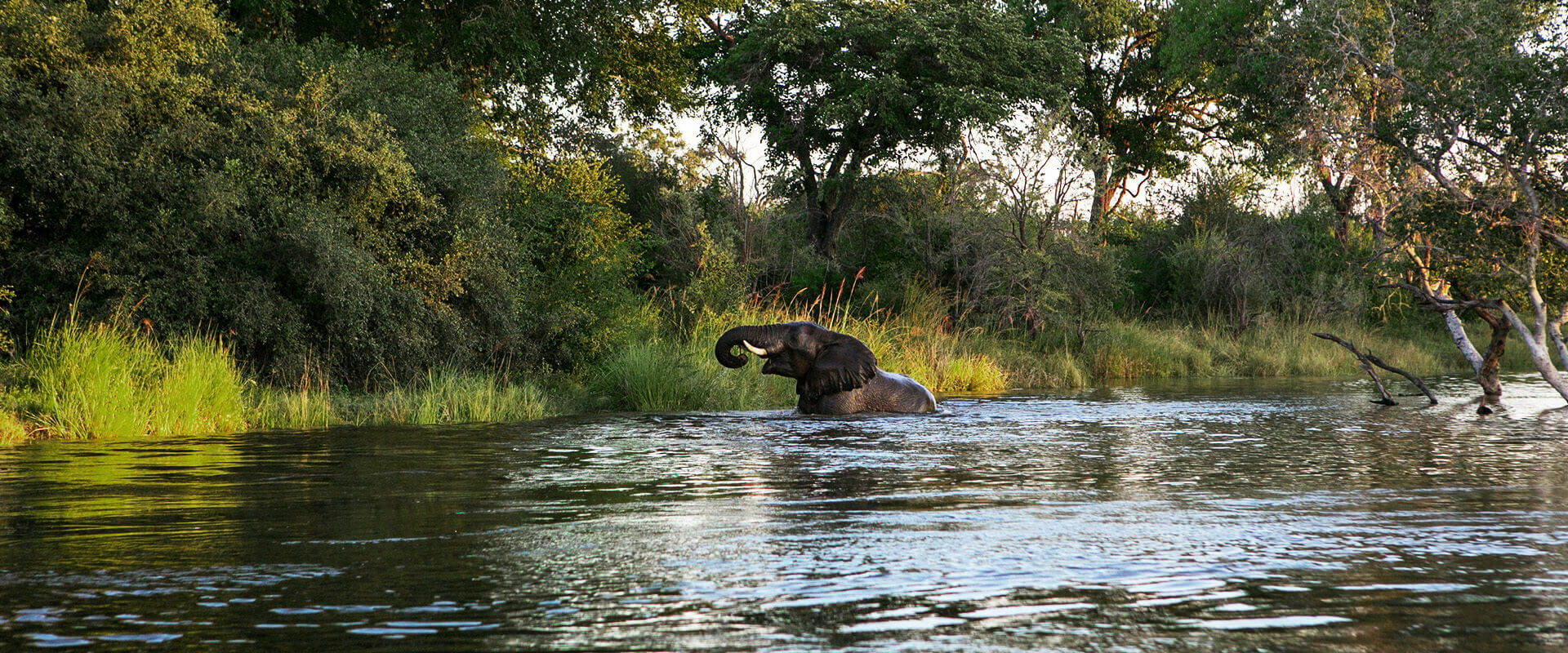 Livingstone and Lower Zambezi Tour