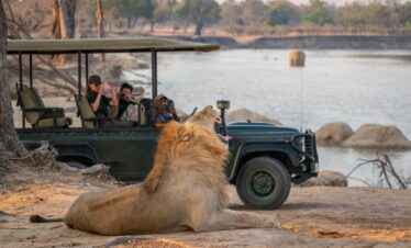 Livingstone and South Luangwa Experience