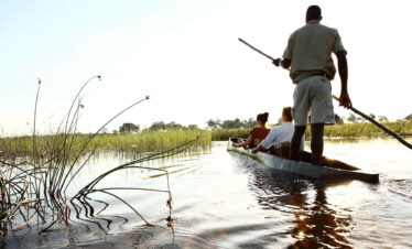 Khwai Safari Experience