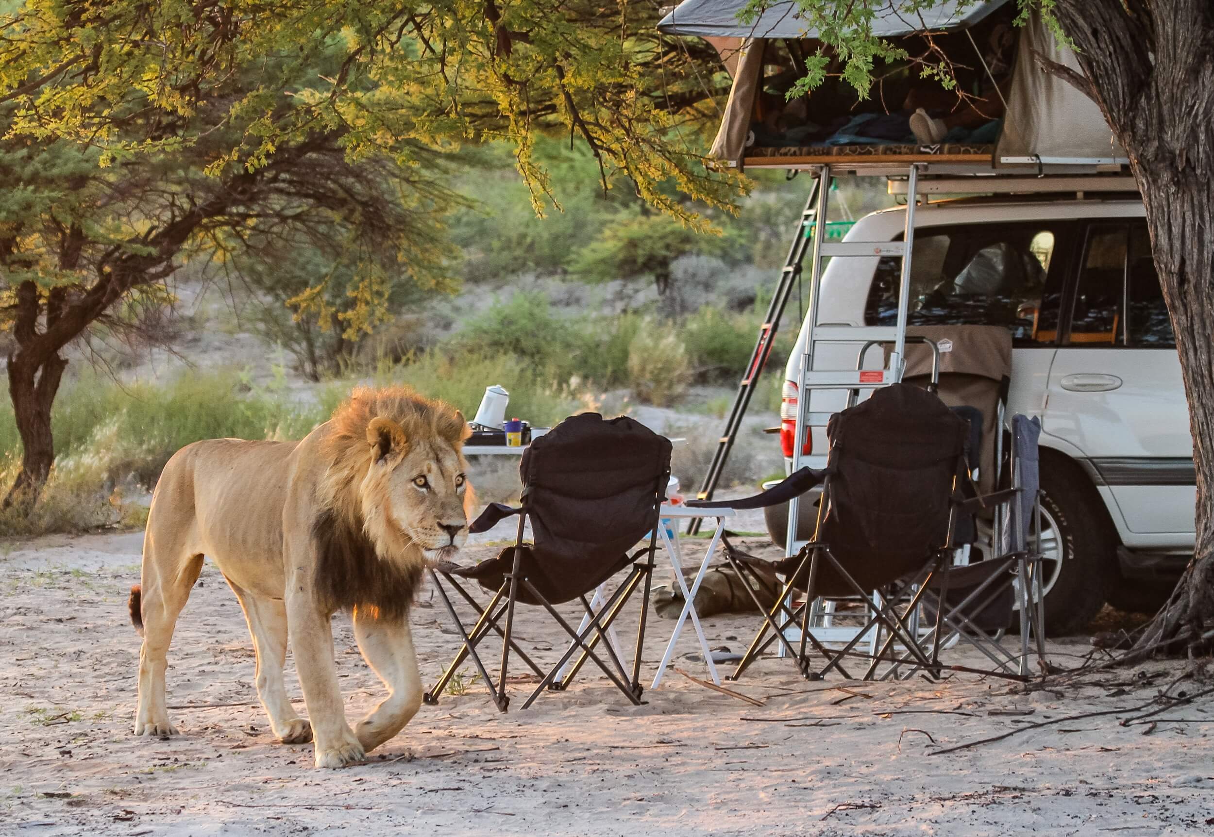 Botswana Mobile Camping Safari