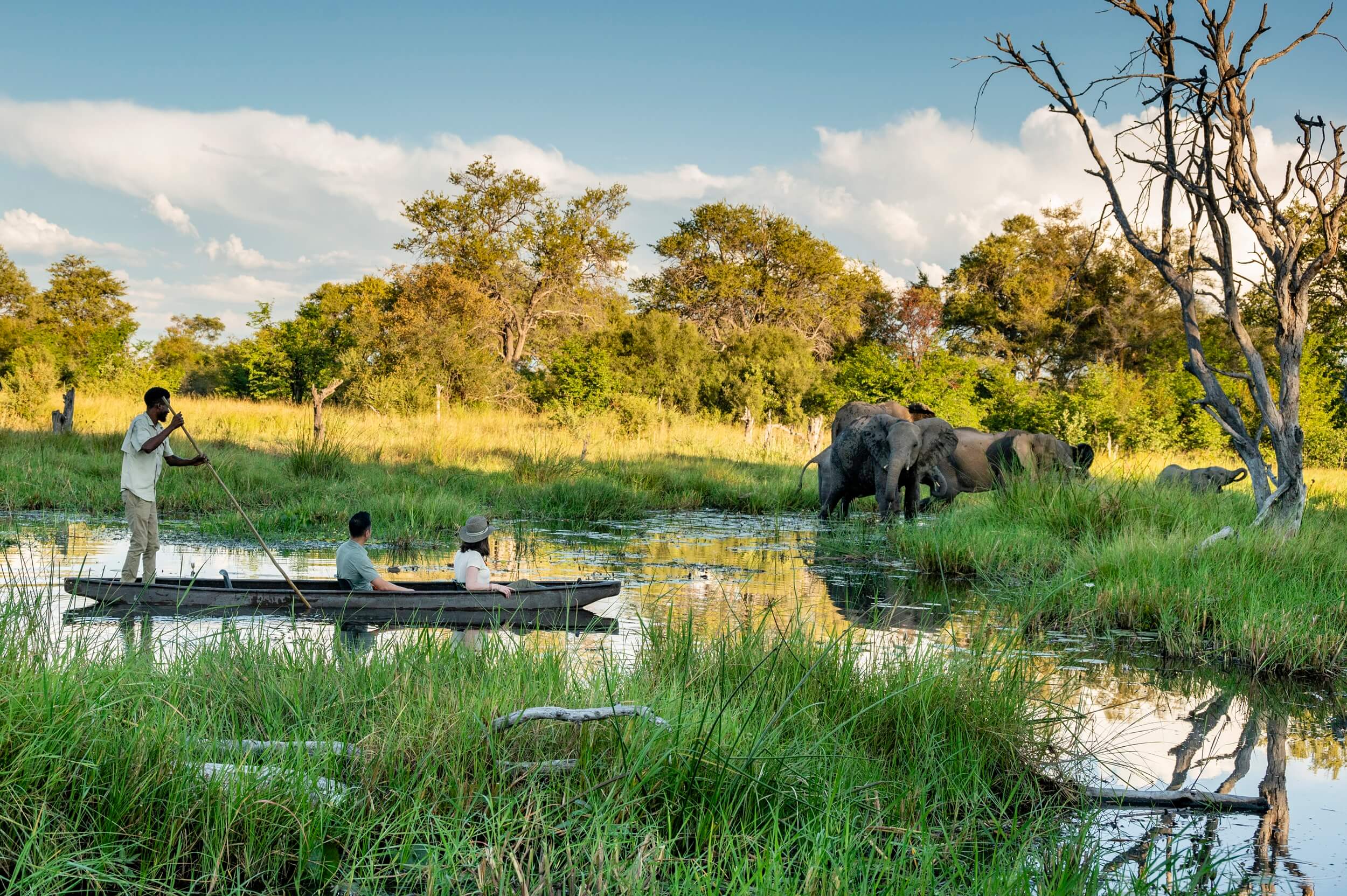 The Okavango Delta Safari