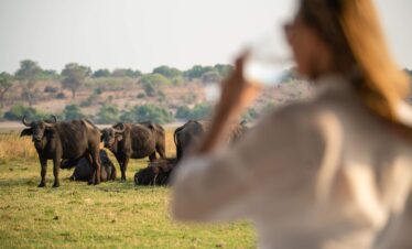 Wonders of Namibia: Desert, Coast and Heritage