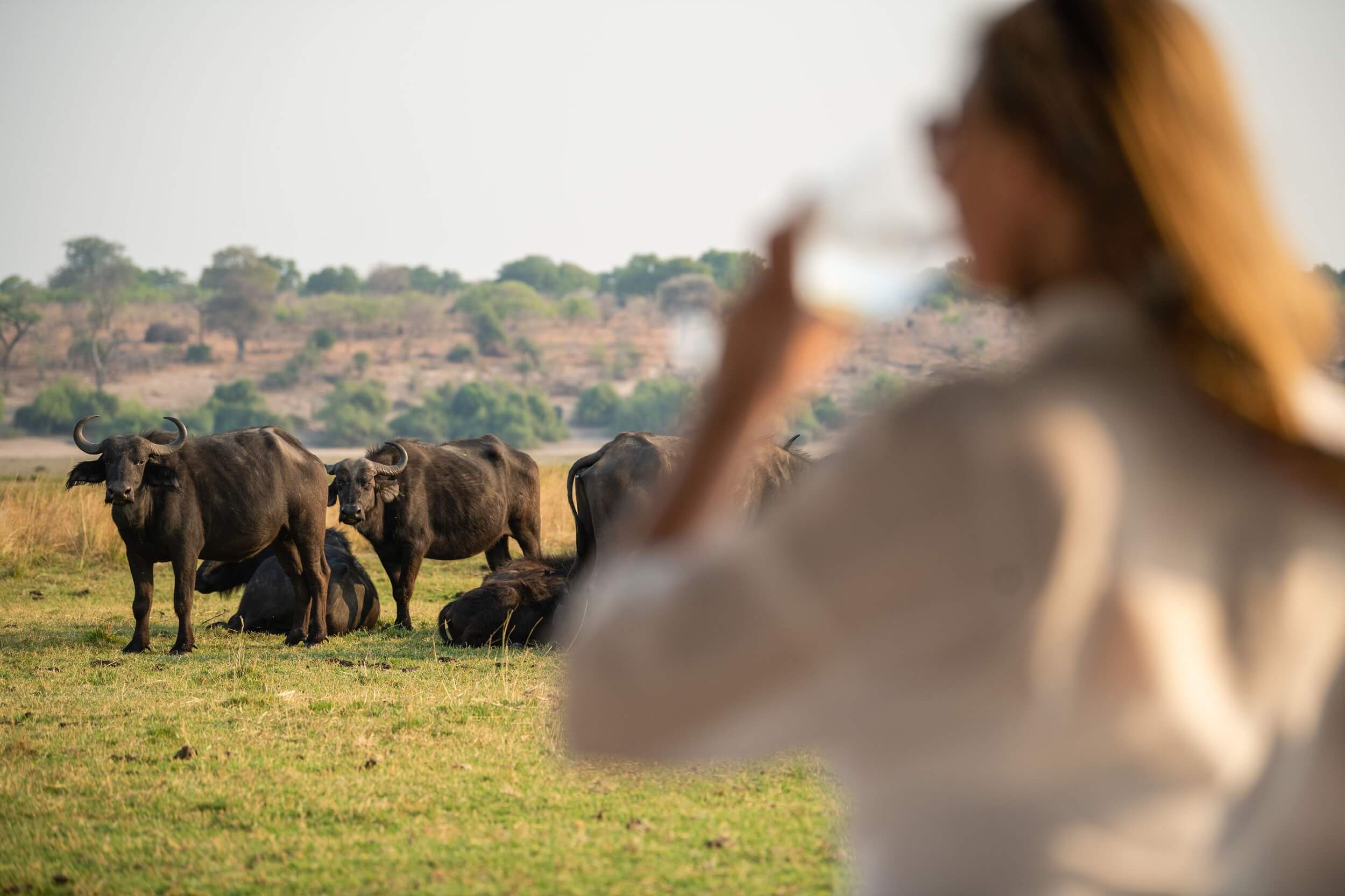 Top Must-Visit Destinations in Namibia_Gazelle Safari Company